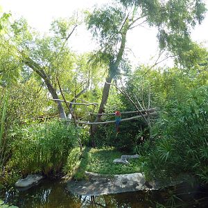 Macaw Exhibit