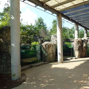 Alligator Snapping Turtle/Fish Exhibit