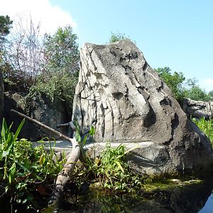 Alligator Snapping Turtle/Fish Exhibit