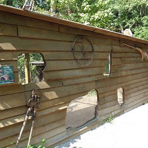 Alabama Wilds - Raccoon Exhibit