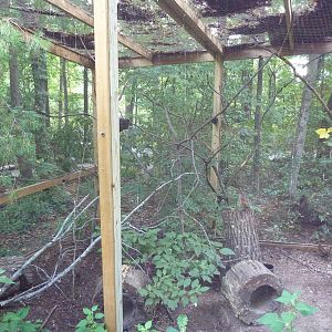 Alabama Wilds - Bobtail Quail Exhibit