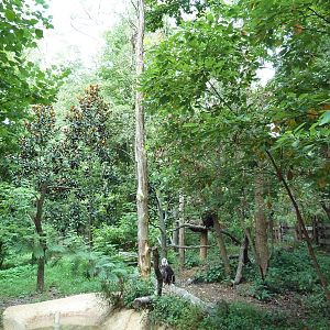 Alabama Wilds - Bald Eagle Exhibit
