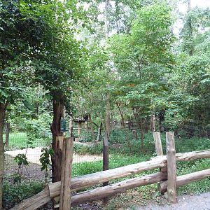 Alabama Wilds - Bald Eagle Exhibit