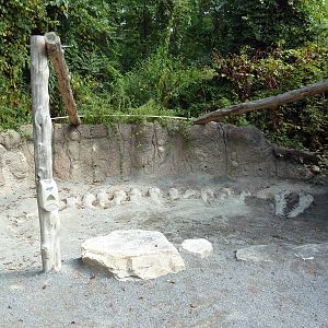 Alabama Wilds - Dig Site