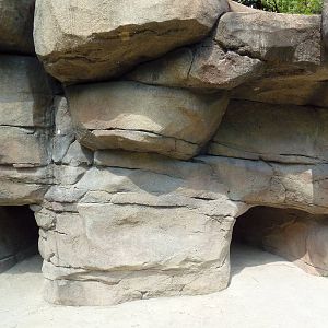 Alabama Wilds - Beaver Exhibit - Viewing Area