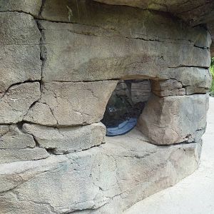 Alabama Wilds - Beaver Exhibit - Viewing Area