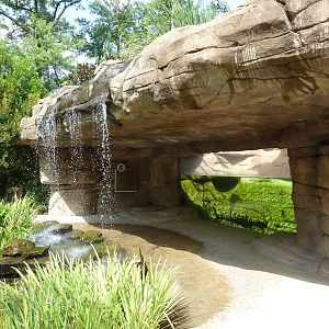Alabama Wilds - River Otter Exhibit