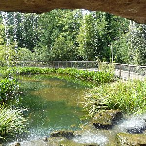 Alabama Wilds - Marsh