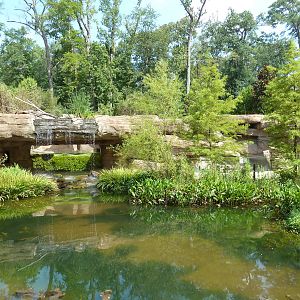 Alabama Wilds - Marsh