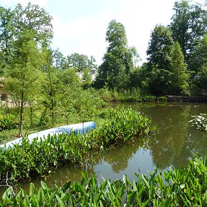 Alabama Wilds - Marsh