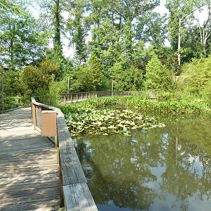 Alabama Wilds - Marsh