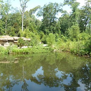 Alabama Wilds - Marsh
