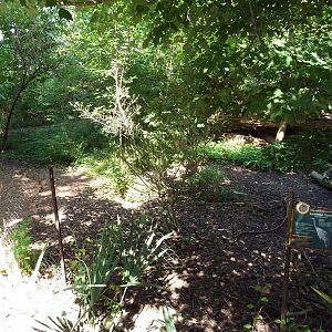 Alabama Wilds - Sandhill Crane Exhibit