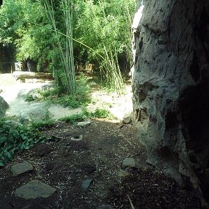 Predators Building - Beaver Exhibit