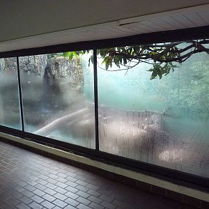 Predators Building - Small-Clawed Otter Exhibit