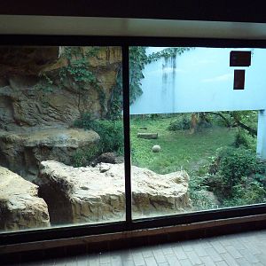 Predators Building - Indochinese Tiger Exhibit