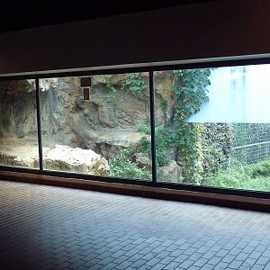 Predators Building - Indochinese Tiger Exhibit