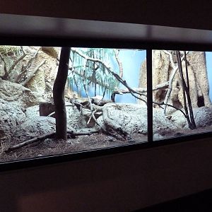 Predators Building - Pallas' Cat Exhibit