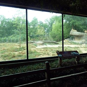 Predators Building - Lion Exhibit