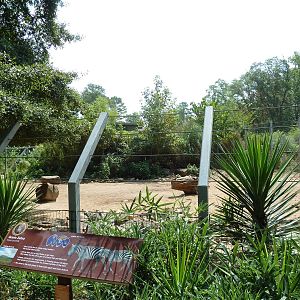 Grant's Zebra Exhibit