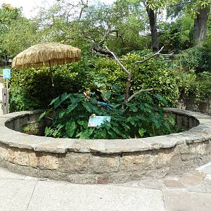 Blue + Gold Macaw/Turtle Exhibit