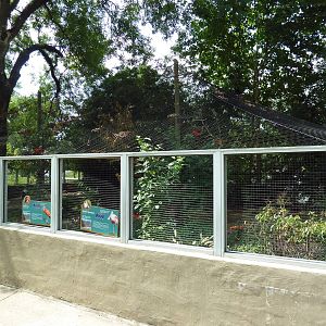 Roseate Spoonbill/White Stork/Scarlet Ibis Exhibit