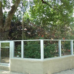 Roseate Spoonbill/White Stork/Scarlet Ibis Exhibit