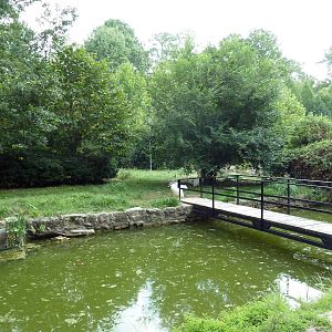 White Pelican/Crested Screamer Exhibit