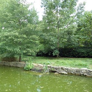 White Pelican/Crested Screamer Exhibit