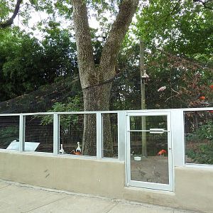 White Stork/Scarlet Ibis/Roseate Spoonbill Exhibit