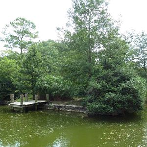 White Pelican/Crested Screamer Exhibit