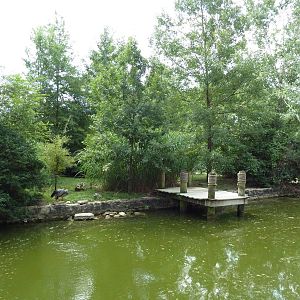 White Pelican/Crested Screamer Exhibit