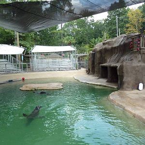 Sea Lion Exhibit