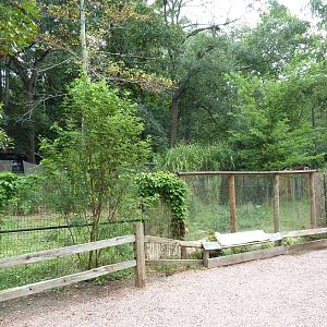 Cassowary Exhibit