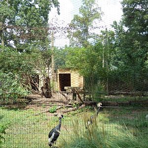 West African Crowned Crane/Secretary Bird Exhibit