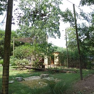 West African Crowned Crane/Secretary Bird Exhibit