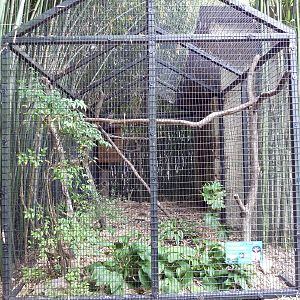 Spectacled Owl Exhibit