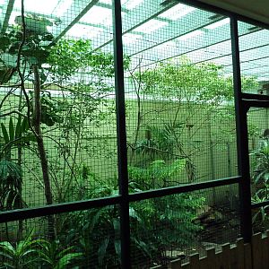 Avian Mixed-Species Exhibit
