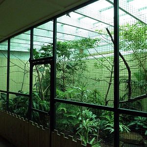 Avian Mixed-Species Exhibit