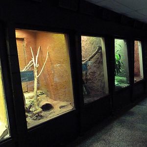 Reptile House