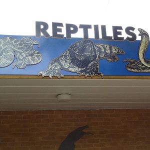 Reptile House - Entrance Sign