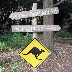 Kangaroo Kountry - Sign