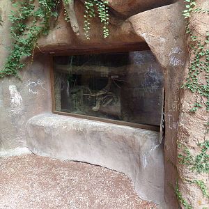 Kangaroo Kountry - Brush-Tailed Bettong Exhibit