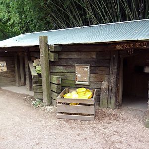 Kangaroo Kountry - Mine Shaft Entrance