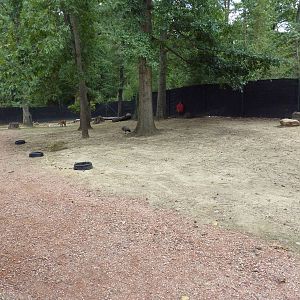 Kangaroo Kountry - Bennett's Wallaby/Parma Wallaby/Red Kangaroo/Cape Barren