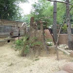 Kangaroo Kountry - Citron-Crested Cockatoo Exhibit