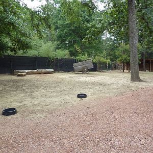 Kangaroo Kountry - Bennett's Wallaby/Parma Wallaby/Red Kangaroo/Cape Barren