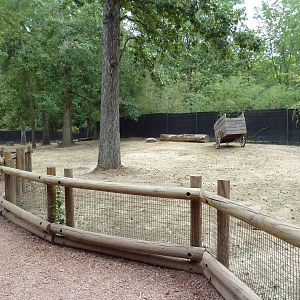 Kangaroo Kountry - Bennett's Wallaby/Parma Wallaby/Red Kangaroo/Cape Barren