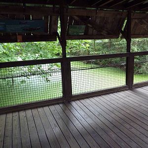 Alligator Exhibit