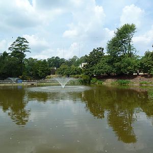 Waterfowl Pond